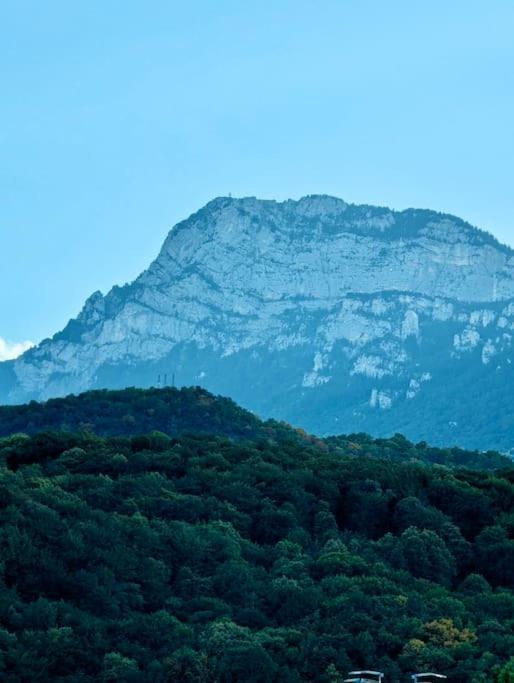 Magnifique T2 Refait A Neuf - Calme & Tout Equipe Avec Parking Grenoble Eksteriør billede